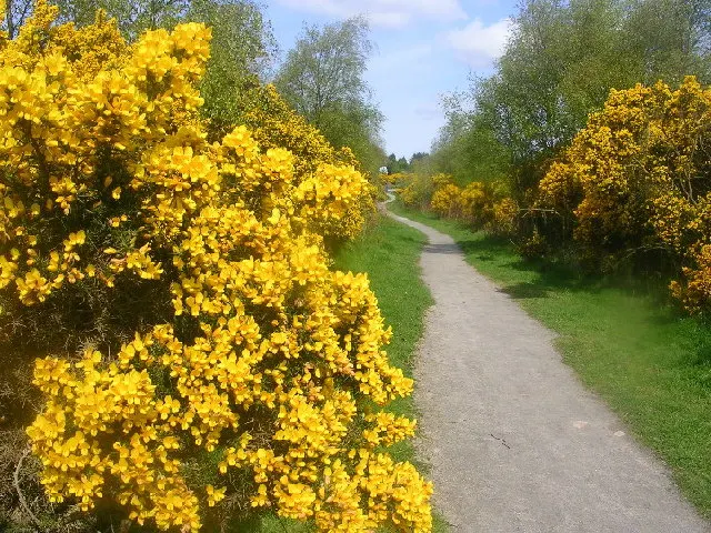 Scotstown Moor, the local landmark of AB22