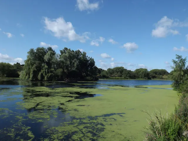 Babbs Mill Lake, the local landmark of B37