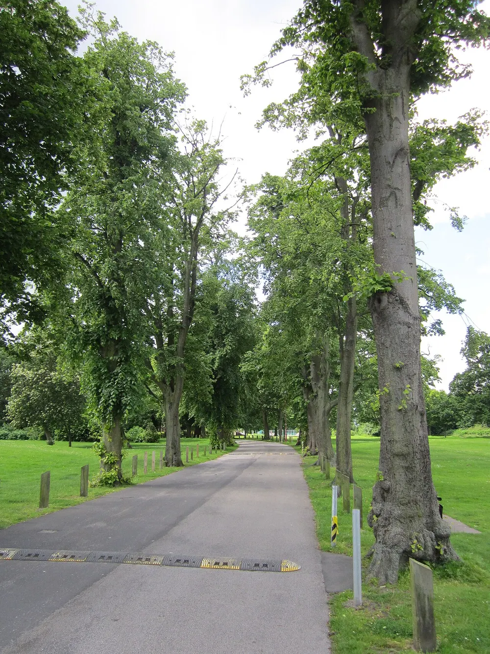Whitby Park, the local landmark of CH65
