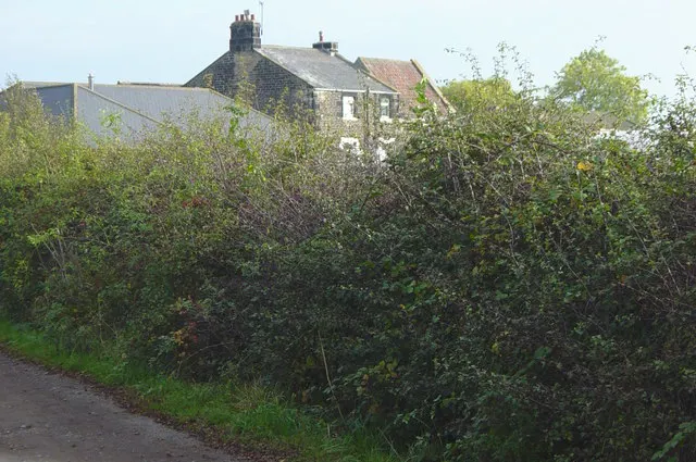 Rising Sun Country Park, the local landmark of NE28