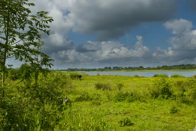 Summer Leys, the local landmark of NN29