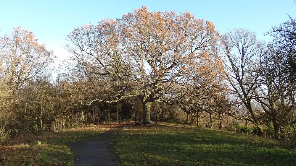 One Tree Hill, Honor Oak, the local landmark of SE23