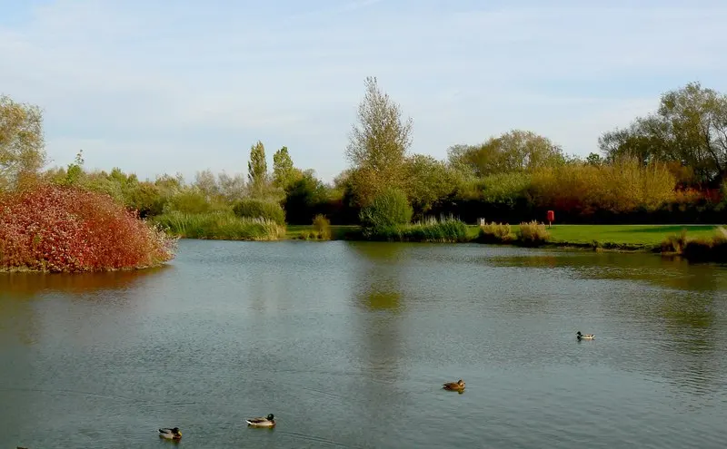 Mouldon Hill Country Park, the local landmark of SN25